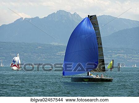 "Sailboat of the Luthi 870 type with spinnaker headsail on Lake Geneva near Morges, Vaud Alps at back, Alpes vaudoises, Canton of Vaud, Switzerland, Europe" View Large Photo Image Picture - "Sailboat of the Luthi 870 type with spinnaker headsail on Lake Geneva near Morges, Vaud Alps at back, Alpes vaudoises, Canton of Vaud, Switzerland, Europe". Fotosearch