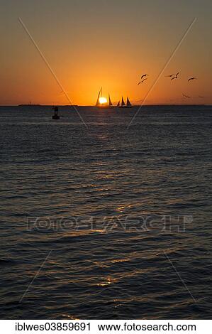 "Sailboats at sunset, Key West, Florida, United States, North America" View Large Photo Image Stock Image - "Sailboats at sunset, Key West, Florida, United States, North America". Fotosearch