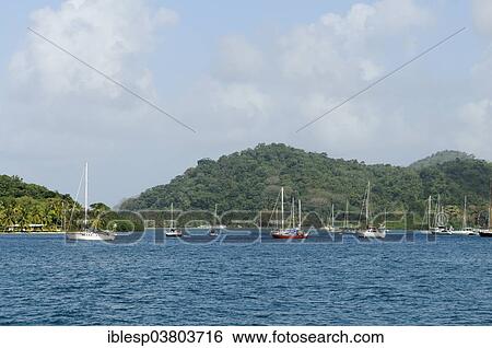 Stock Photograph - "Sailboats in the bay of Isla Linton, Colon, Caribbean, Panama, North America". Fotosearch