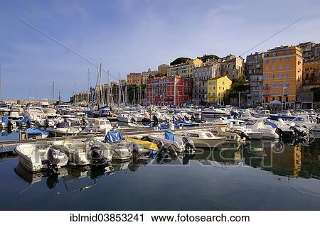"Sailboats in the Neptune Club Bastiais, marina in the old port, Port de Plaisance or Vieux Port, historic center, Bastia, Haute-Corse, Corsica, France, Europe" View Large Photo Image Stock Image - "Sailboats in the Neptune Club Bastiais, marina in the old port, Port de Plaisance or Vieux Port, historic center, Bastia, Haute-Corse, Corsica, France, Europe". Fotosearch