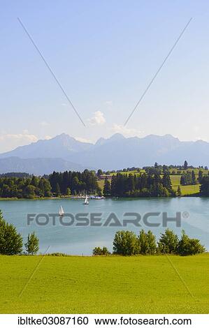 "Sailboats on Lake Forggen, Fussen, Allgau, Upper Bavaria, Bavaria, Germany, Europe" View Large Photo Image Stock Image - "Sailboats on Lake Forggen, Fussen, Allgau, Upper Bavaria, Bavaria, Germany, Europe". Fotosearch