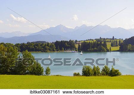 "Sailboats on Lake Forggen, Fussen, Allgau, Upper Bavaria, Bavaria, Germany, Europe" View Large Photo Image Stock Image - "Sailboats on Lake Forggen, Fussen, Allgau, Upper Bavaria, Bavaria, Germany, Europe". Fotosearch