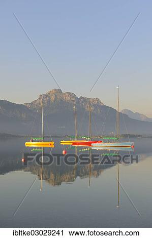 "Sailboats on Lake Forggen, Ostallgau, Allgau, Fussen, Ostallgau, Allgau, Schwabia, Bavaria, Germany, Europe" View Large Photo Image Stock Image - "Sailboats on Lake Forggen, Ostallgau, Allgau, Fussen, Ostallgau, Allgau, Schwabia, Bavaria, Germany, Europe". Fotosearch