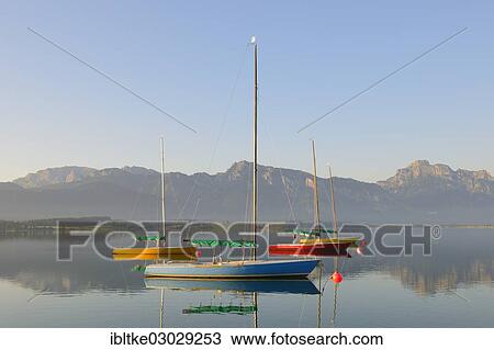 "Sailboats on Lake Forggen, Ostallgau, Allgau, Fussen, Ostallgau, Allgau, Schwabia, Bavaria, Germany, Europe" View Large Photo Image Stock Image - "Sailboats on Lake Forggen, Ostallgau, Allgau, Fussen, Ostallgau, Allgau, Schwabia, Bavaria, Germany, Europe". Fotosearch