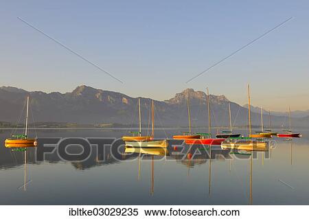 Stock Photography - "Sailboats on Lake Forggen, Ostallgau, Allgau, Fussen, Ostallgau, Allgau, Schwabia, Bavaria, Germany, Europe". Fotosearch