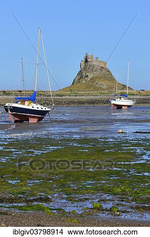 "Sailing boats at low tide in the bay off Lindisfarne Castle, Lindisfarne, Northumbria, England, United Kingdom, Europe" View Large Photo Image Picture - "Sailing boats at low tide in the bay off Lindisfarne Castle, Lindisfarne, Northumbria, England, United Kingdom, Europe". Fotosearch