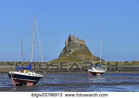 "Sailing boats at low tide in the bay off Lindisfarne Castle, Lindisfarne, Northumbria, England, United Kingdom, Europe" View Large Photo Image Stock Image - "Sailing boats at low tide in the bay off Lindisfarne Castle, Lindisfarne, Northumbria, England, United Kingdom, Europe". Fotosearch