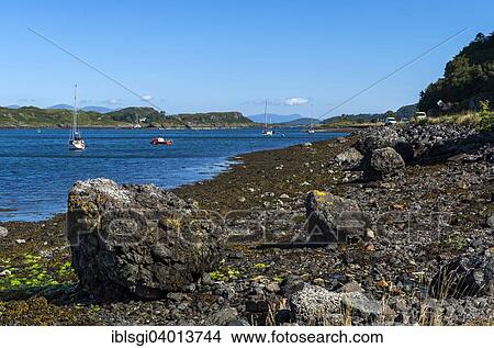 "Sailing boats in the Sound of Kerrera in Oban, Scotland, United Kingdom, Europe" View Large Photo Image Picture - "Sailing boats in the Sound of Kerrera in Oban, Scotland, United Kingdom, Europe". Fotosearch