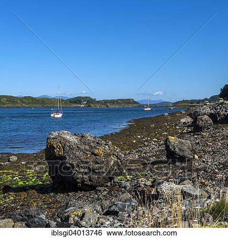 "Sailing boats in the Sound of Kerrera in Oban, Scotland, United Kingdom, Europe" View Large Photo Image Stock Photograph - "Sailing boats in the Sound of Kerrera in Oban, Scotland, United Kingdom, Europe". Fotosearch