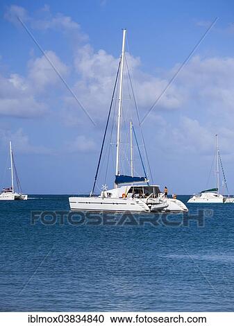 "Sailing yachts in Rodney Bay, Saint Lucia, Windward Islands, Lesser Antilles, North America" View Large Photo Image Stock Image - "Sailing yachts in Rodney Bay, Saint Lucia, Windward Islands, Lesser Antilles, North America". Fotosearch