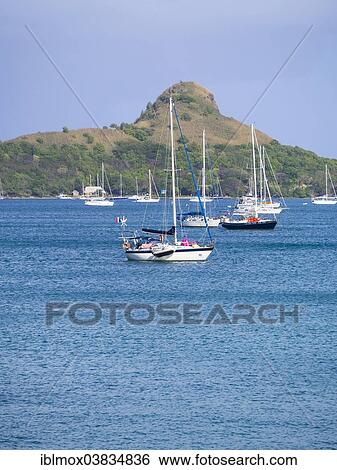 "Sailing yachts in Rodney Bay, Saint Lucia, Windward Islands, Lesser Antilles, North America" View Large Photo Image Stock Photograph - "Sailing yachts in Rodney Bay, Saint Lucia, Windward Islands, Lesser Antilles, North America". Fotosearch