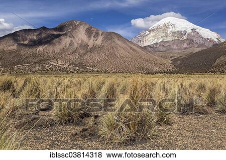 "Sajama Volcano, Sajama National Park, Altiplano Highlands, Bolivia, South America" View Large Photo Image Stock Photo - "Sajama Volcano, Sajama National Park, Altiplano Highlands, Bolivia, South America". Fotosearch