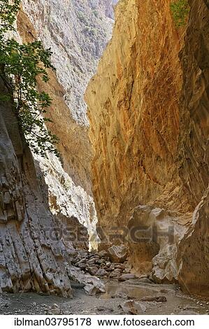 "Saklikent Canyon, Mugla Province, Lycia, Aegean, Turkey, Asia" View Large Photo Image Stock Photo - "Saklikent Canyon, Mugla Province, Lycia, Aegean, Turkey, Asia". Fotosearch