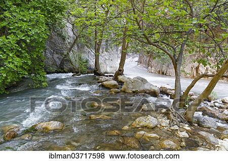 "Saklikent Gorge or Saklikent Canyon, Saklikent, Mugla Province, Aegean region, Turkey, Asia" View Large Photo Image Stock Photo - "Saklikent Gorge or Saklikent Canyon, Saklikent, Mugla Province, Aegean region, Turkey, Asia". Fotosearch