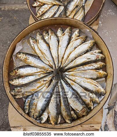 Stock Photography - "Sale of fish at the farmer's market in Sineu, Majorca, Balearic Islands, Spain, Europe". Fotosearch