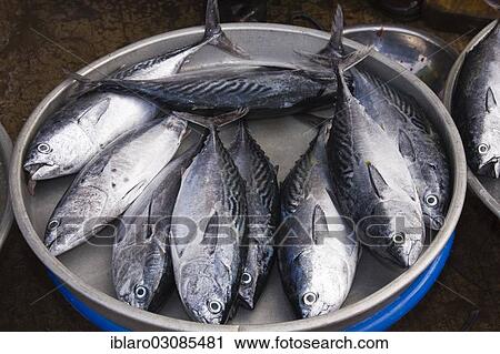 Stock Image - "Sale of fish at the market, Doung Dong island, Phu Quoc, Sudostasien, Vietnam, Asia". Fotosearch