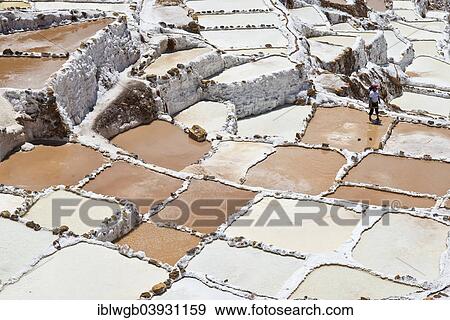 "Salinas de Mara, salt terraces on a mountainside, built by the Incas and still in operation today, Pichingote, Cusco region, Andes, Peru, South America" View Large Photo Image Stock Photo - "Salinas de Mara, salt terraces on a mountainside, built by the Incas and still in operation today, Pichingote, Cusco region, Andes, Peru, South America". Fotosearch
