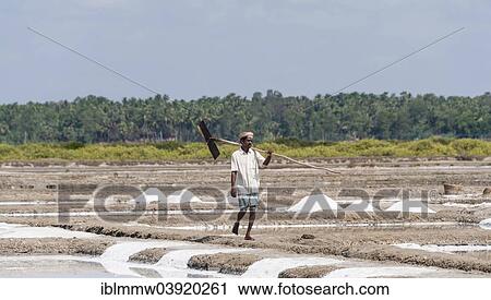 Stock Image - "Saline worker, salt production, saltworks, near Thazhankadu, Tamil Nadu, India, Asia". Fotosearch