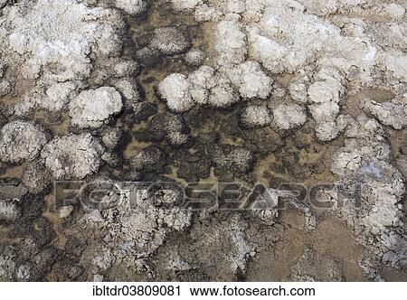 "Salt deposits in a shallow pool, Badwater Basin, salt flats in the Death Valley, lowest point in North America, Death Valley National Park, California, USA" View Large Photo Image Stock Image - "Salt deposits in a shallow pool, Badwater Basin, salt flats in the Death Valley, lowest point in North America, Death Valley National Park, California, USA". Fotosearch