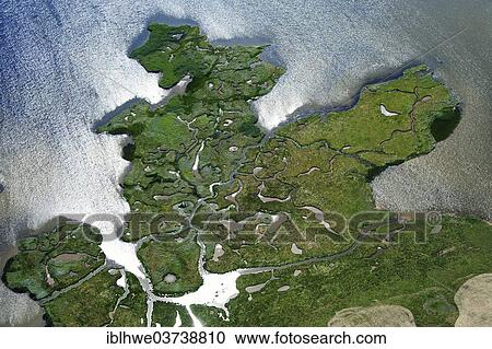 "Salt marsh, aerial view, Kirchdorf, Poel Island, Mecklenburg-Vorpommern, Germany, Europe" View Large Photo Image Stock Image - "Salt marsh, aerial view, Kirchdorf, Poel Island, Mecklenburg-Vorpommern, Germany, Europe". Fotosearch