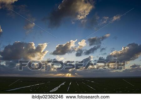 "Salt marsh at sunset, Westerhever, Eiderstedt, North Frisia, Schleswig-Holstein, Germany, Europe" View Large Photo Image Stock Photograph - "Salt marsh at sunset, Westerhever, Eiderstedt, North Frisia, Schleswig-Holstein, Germany, Europe". Fotosearch