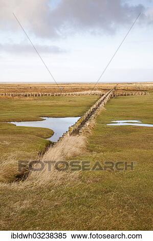 "Salt marshes in the Schleswig-Holstein Wadden Sea National Park, UNESCO World Heritage Site, Schleswig-Holstein Wadden Sea National Park, Westerhever, Eiderstedt, North Frisia, Schleswig-Holstein, Germany, Europe" View Large Photo Image Stock Photography - "Salt marshes in the Schleswig-Holstein Wadden Sea National Park, UNESCO World Heritage Site, Schleswig-Holstein Wadden Sea National Park, Westerhever, Eiderstedt, North Frisia, Schleswig-Holstein, Germany, Europe". Fotosearch