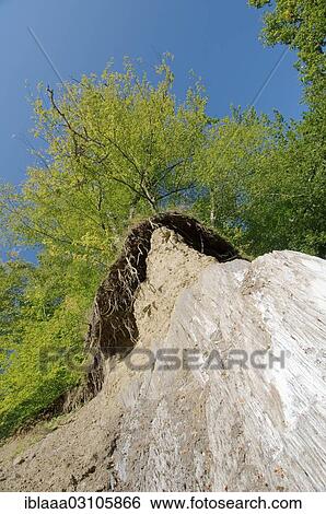 "Salt mountain, Sovata, Mures County, Transylvania, Romania, Europe" View Large Photo Image Stock Photograph - "Salt mountain, Sovata, Mures County, Transylvania, Romania, Europe". Fotosearch