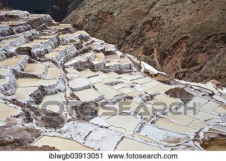 "Salt pans on a mountainside, Salinas de Maras salt pans, created by the Incas and still in operation, Pichingote, Cusco region, Andes, Peru, South America" View Large Photo Image Stock Image - "Salt pans on a mountainside, Salinas de Maras salt pans, created by the Incas and still in operation, Pichingote, Cusco region, Andes, Peru, South America". Fotosearch