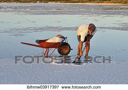 "Salt production by hand, in a lagoon near El Cujo, Yucatan, Mexico, North America" View Large Photo Image Stock Photo - "Salt production by hand, in a lagoon near El Cujo, Yucatan, Mexico, North America". Fotosearch