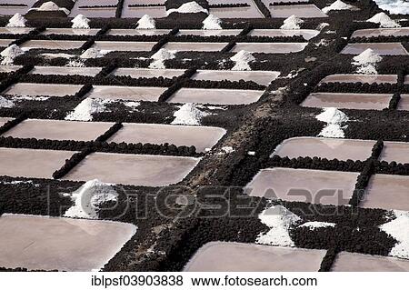 "Salt production, Teneguia salt pans, southern cape, Punta de Fuencaliente, La Palma, Canary Islands, Spain, Europe" View Large Photo Image Stock Photo - "Salt production, Teneguia salt pans, southern cape, Punta de Fuencaliente, La Palma, Canary Islands, Spain, Europe". Fotosearch