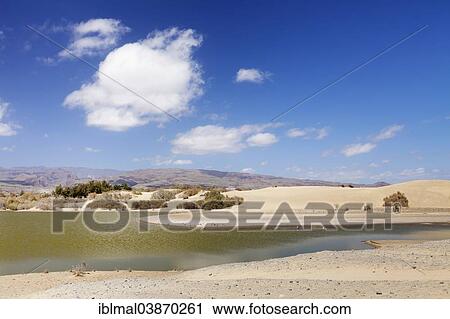 "Saltwater lake Charca de Maspalomas, Maspalomas, Gran Canaria, Canary Islands, Spain, Europe" View Large Photo Image Stock Image - "Saltwater lake Charca de Maspalomas, Maspalomas, Gran Canaria, Canary Islands, Spain, Europe". Fotosearch