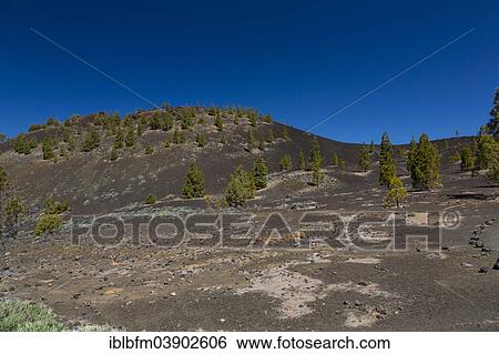 Stock Photograph - "Samara volcano, 1938 m, UNESCO World Heritage Site, Teide National Park, Tenerife, Canary Islands, Spain, Europe". Fotosearch