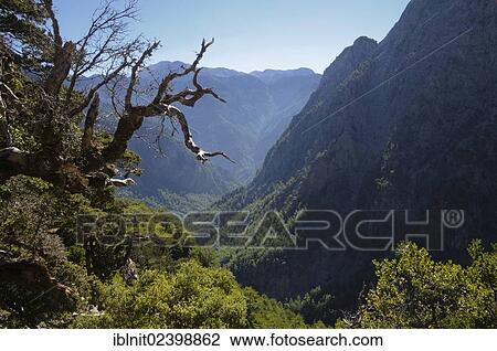 "Samaria Gorge, Crete, Greece, Europe" View Large Photo Image Stock Image - "Samaria Gorge, Crete, Greece, Europe". Fotosearch