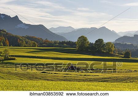 "Samerberg near Grainau, Chiemgau, Upper Bavaria, Bavaria, Germany, Europe" View Large Photo Image Stock Image - "Samerberg near Grainau, Chiemgau, Upper Bavaria, Bavaria, Germany, Europe". Fotosearch