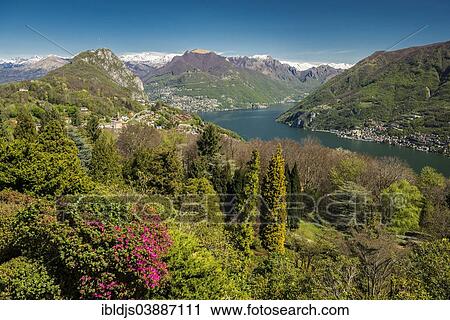 "San Grato Botanic Park, Carona, near Lugano, Lake Lugano, Lago di Lugano, Canton Ticino, Switzerland, Europe" View Large Photo Image Stock Image - "San Grato Botanic Park, Carona, near Lugano, Lake Lugano, Lago di Lugano, Canton Ticino, Switzerland, Europe". Fotosearch