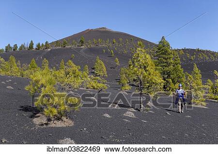 "San Martin volcano, Cumbre Vieja in Fuencaliente, La Palma, Canary Islands, Spain, Europe" View Large Photo Image Stock Photo - "San Martin volcano, Cumbre Vieja in Fuencaliente, La Palma, Canary Islands, Spain, Europe". Fotosearch