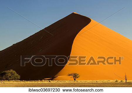 "Sand dune 45, sand dune in the evening light, Sossusvlei, Namib Desert, Namib Naukluft Park, Namibia, Africa" View Large Photo Image Stock Image - "Sand dune 45, sand dune in the evening light, Sossusvlei, Namib Desert, Namib Naukluft Park, Namibia, Africa". Fotosearch