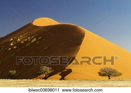 "Sand dune in the evening light, Sossusvlei, Namib Desert, Namib Naukluft Park, Namibia, Africa" View Large Photo Image Stock Image - "Sand dune in the evening light, Sossusvlei, Namib Desert, Namib Naukluft Park, Namibia, Africa". Fotosearch