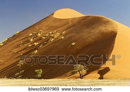 Stock Photo - "Sand dune in the evening light, Sossusvlei, Namib Desert, Namib Naukluft Park, Namibia, Africa". Fotosearch