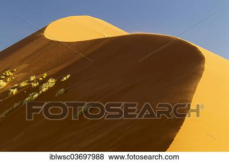 "Sand dune in the evening light, Sossusvlei, Namib Desert, Namib Naukluft Park, Namibia, Africa" View Large Photo Image Stock Photo - "Sand dune in the evening light, Sossusvlei, Namib Desert, Namib Naukluft Park, Namibia, Africa". Fotosearch