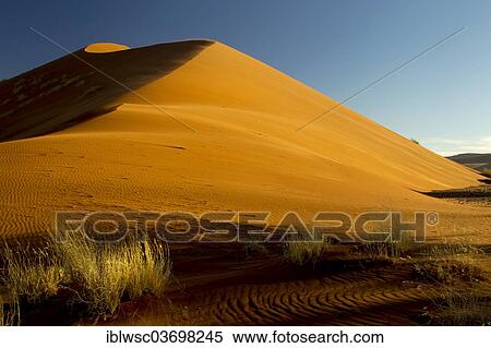 Stock Photography - "Sand dune in the evening light, Sossusvlei, Namib Desert, Namib Naukluft Park, Namibia, Africa". Fotosearch