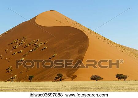 Stock Photo - "Sand dune in the morning light, Sossusvlei, Namib Desert, Namib Naukluft Park, Namibia, Africa". Fotosearch