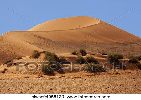 "Sand dune, Sossusvlei, Namib Desert, Namib-Naukluft National Park, Namibia, Africa" View Large Photo Image Stock Image - "Sand dune, Sossusvlei, Namib Desert, Namib-Naukluft National Park, Namibia, Africa". Fotosearch