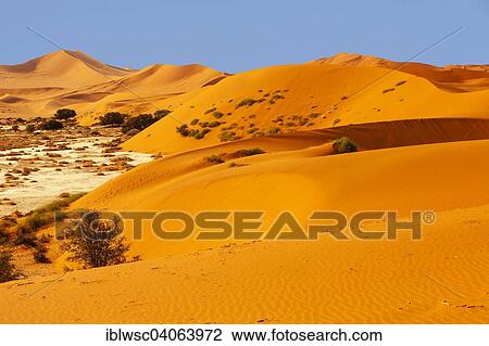 "Sand dune, Sossusvlei, Namib Desert, Namib-Naukluft National Park, Namibia, Africa" View Large Photo Image Stock Image - "Sand dune, Sossusvlei, Namib Desert, Namib-Naukluft National Park, Namibia, Africa". Fotosearch