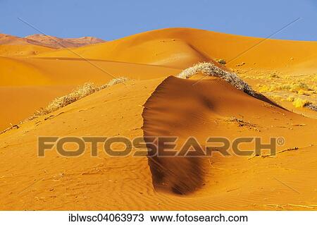 "Sand dune, Sossusvlei, Namib Desert, Namib-Naukluft National Park, Namibia, Africa" View Large Photo Image Stock Image - "Sand dune, Sossusvlei, Namib Desert, Namib-Naukluft National Park, Namibia, Africa". Fotosearch