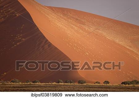 "Sand dune, Sossusvlei, Namib-Naukluft National Park‬, Skeleton Coast National Park, Hardap Region, Namibia, Africa" View Large Photo Image Stock Photo - "Sand dune, Sossusvlei, Namib-Naukluft National Park‬, Skeleton Coast National Park, Hardap Region, Namibia, Africa". Fotosearch