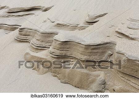 "Sand dune with wind erosion, North Sea coast, Zoutelande, Zeeland province, The Netherlands, Europe" View Large Photo Image Stock Photo - "Sand dune with wind erosion, North Sea coast, Zoutelande, Zeeland province, The Netherlands, Europe". Fotosearch