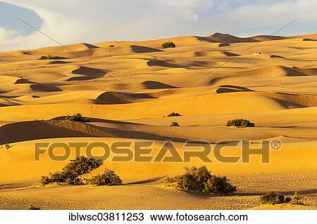 "Sand dunes, desert, Dubai, United Arab Emirates, Asia" View Large Photo Image Stock Image - "Sand dunes, desert, Dubai, United Arab Emirates, Asia". Fotosearch