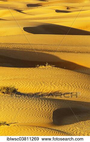 "Sand dunes, desert, Dubai, United Arab Emirates, Asia" View Large Photo Image Stock Photo - "Sand dunes, desert, Dubai, United Arab Emirates, Asia". Fotosearch