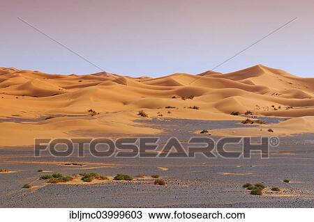 Stock Image - "Sand dunes, Erg Chebbi, Merzouga, Sahara Desert, Morocco, Africa". Fotosearch